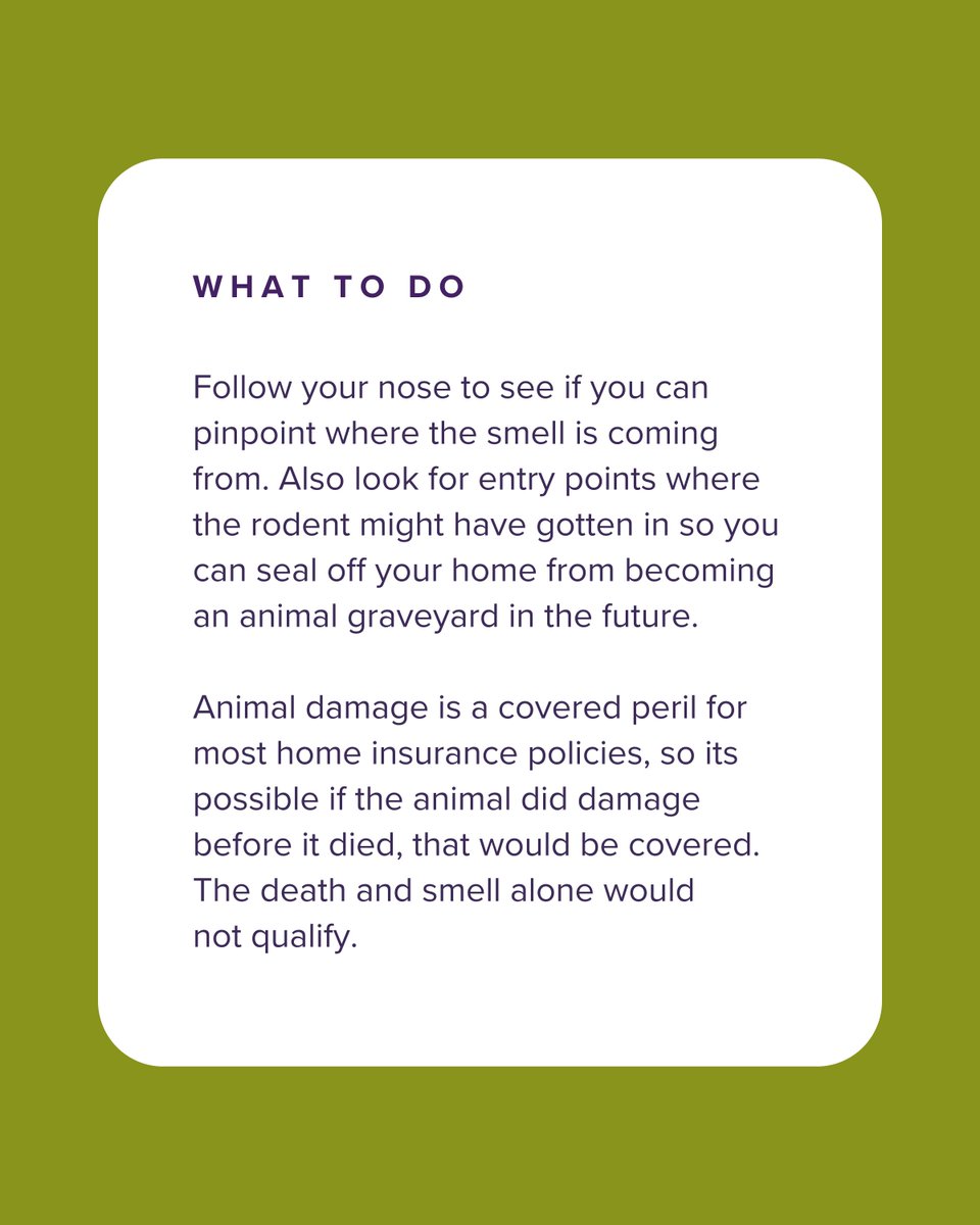 Fidelity National Home Warranty tweet media