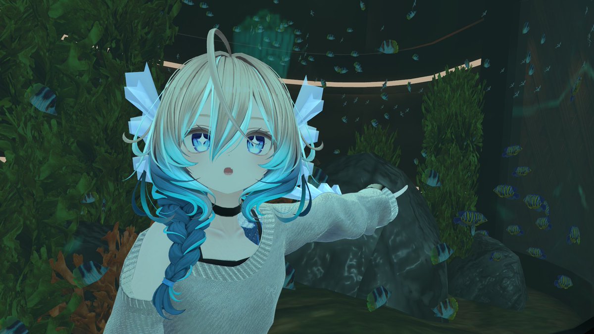 Look at the size of their fish tank! i'm so jealous... 🥺