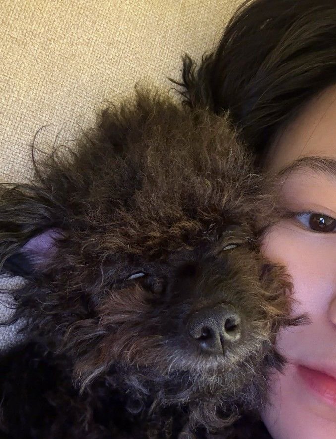 UN_LMV01D's tweet photo. look at my child 😔 https://t.co/4Lg3EeWc3i