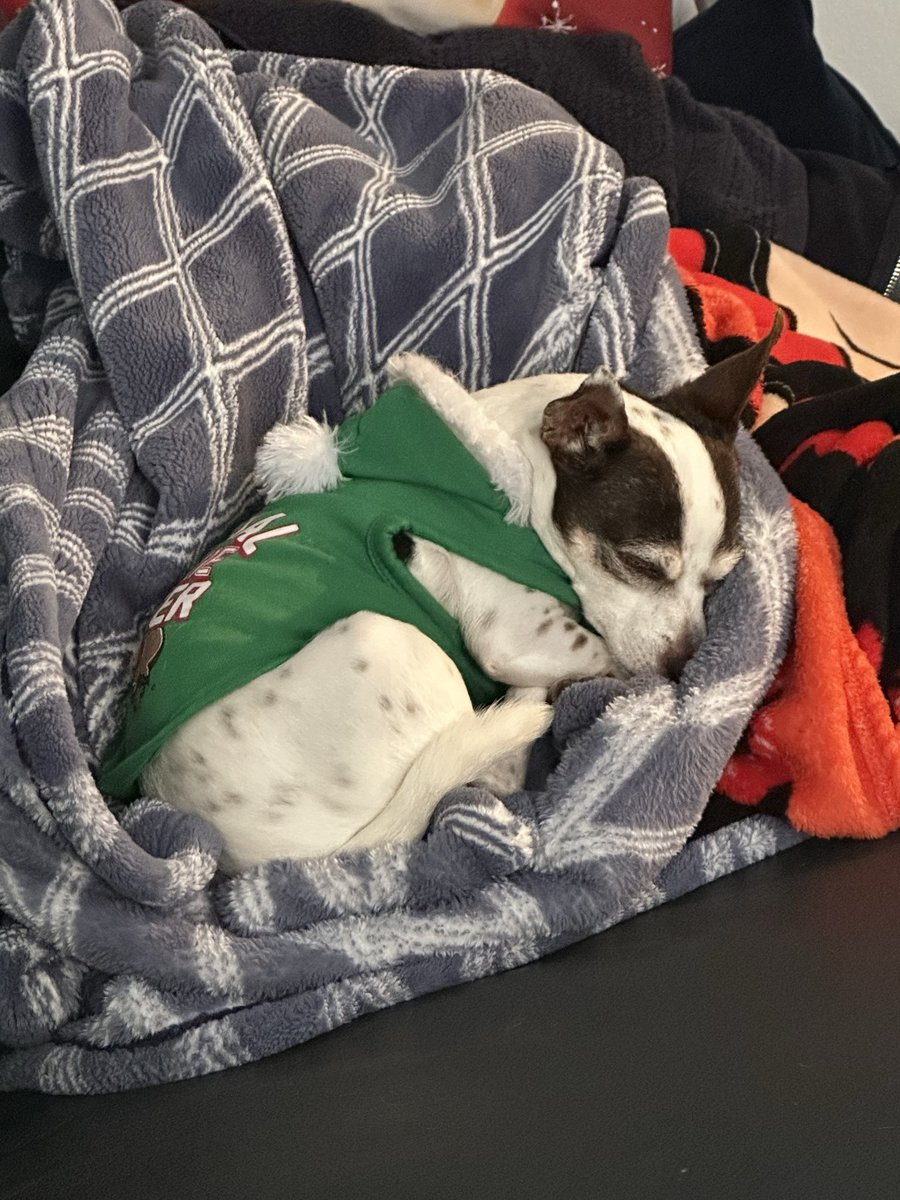 MarcusRedF's tweet image. Sleepy boyyyyy 🥹