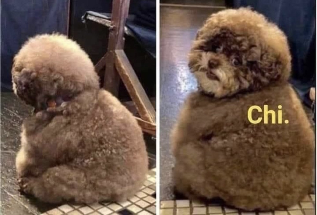 *Me siento lleno, comí mucho*
— ¿Quieres cafecito con rosca?
YO: