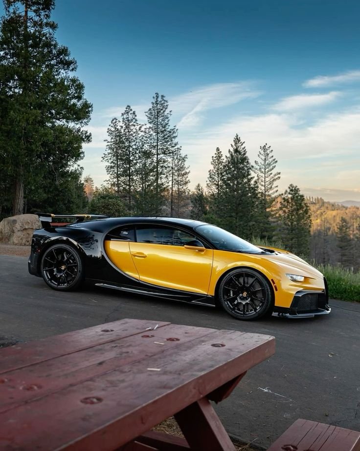 Tweet on english The contrast against the trees is just perfect. Ettore Bugatti definitely knew what he was doing with this color scheme.🐝