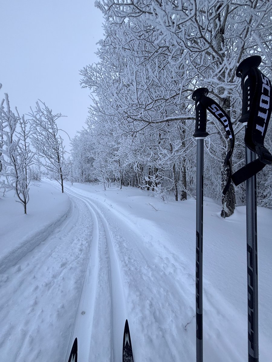Sask Trails tweet media