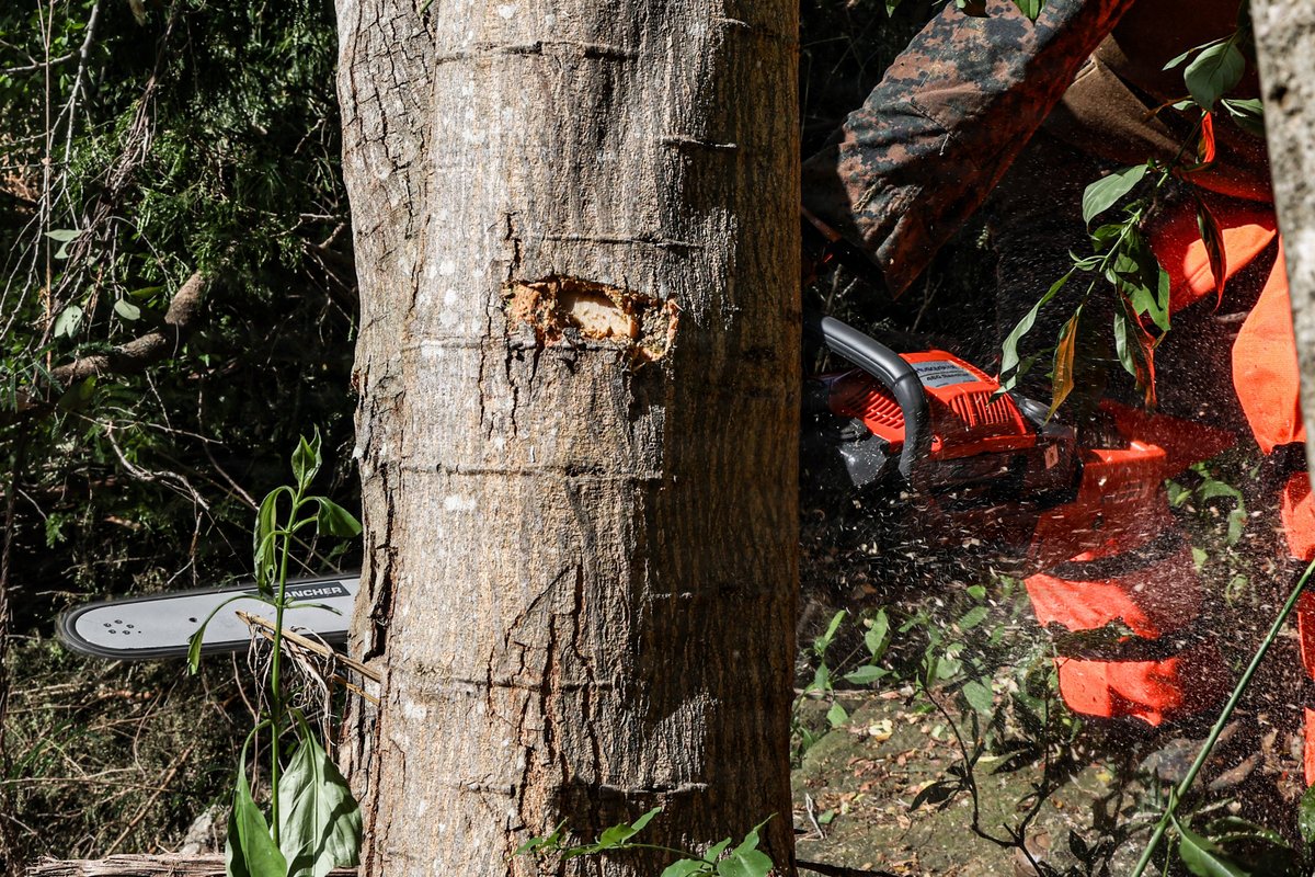 22nd MEU tweet media