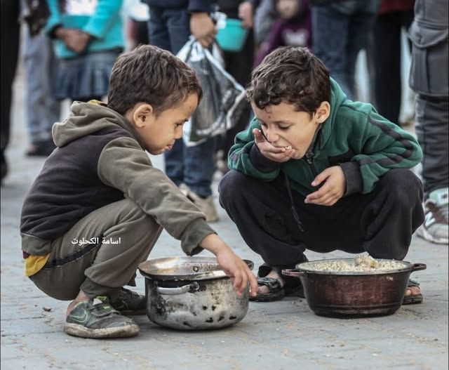 ما زال غالبية النازحين يعتمدوا في حياتهم على الطعام المقدم مجانا في التكيات