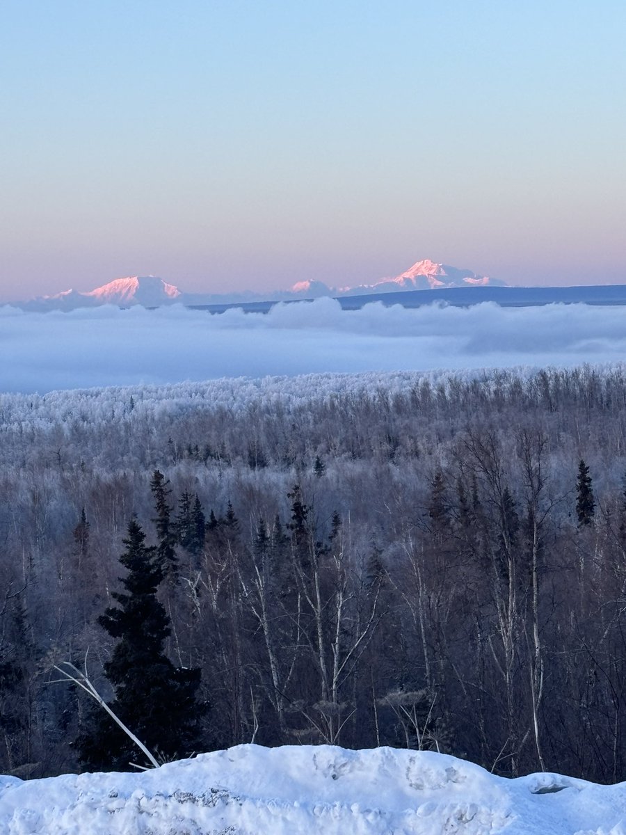 Tony Cappuccilli tweet media