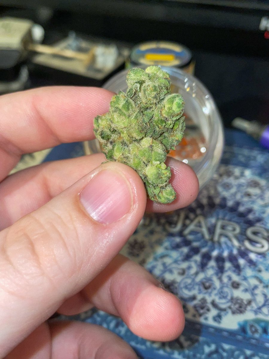 Mamba 24 🌿🐍 <a href="/Traditional420/">Traditional</a> 

Dense, frosty nugs, loud diesel funk out the jar.
Smoke hits smooth but HEAVY 😮‍💨

Starts in the head ➝ melts straight into the body. Stress gone. Muscles loose. Couch locked. Perfect for night sessions, gaming, or a lights-out vibe.
#HeadzSpace