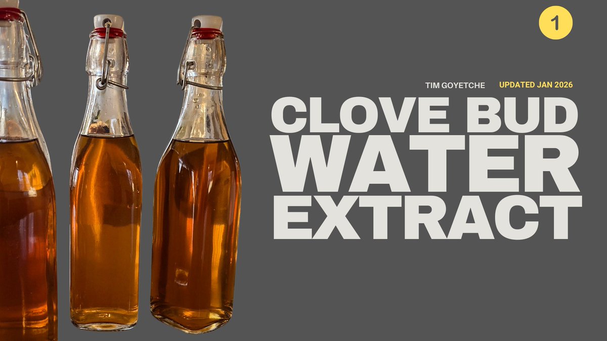 WitchDrTim's tweet image. Downloads for my PDF document on how to make clove but hot water extract are no longer available online. Over 857,000 people downloaded the document in the last four days, provoking my web host to disable my hosting because their servers couldn't handle it.  So, here is the…