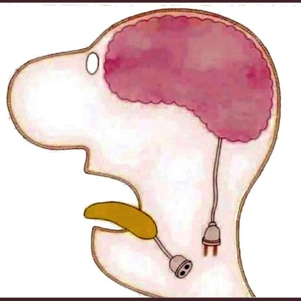Söylem yol gösterir dilden doğar. Eylem ise yol olur  ve özden doğar. Hangisinin gerçek olduğunu ancak yolu yürüyen bilir ve öz değişmedikçe sözün hükmü olmaz. <a href="/serefoguz/">Şeref Oğuz</a> <a href="/akifhut/">Mehmet Akif HUT🇹🇷🌊Gezgin⛵️🐂 Çoban🐄 Mapuche🌿</a>