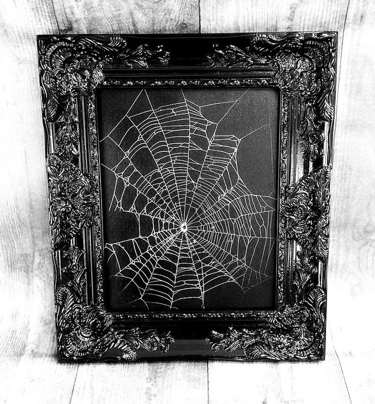 BunnieKat1962's tweet image. #SpiderWeb