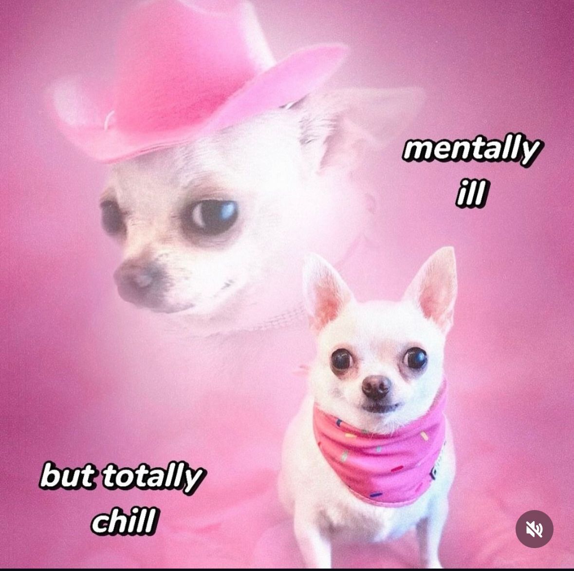 ADHD Memes (@adhdforreal) on Twitter photo 