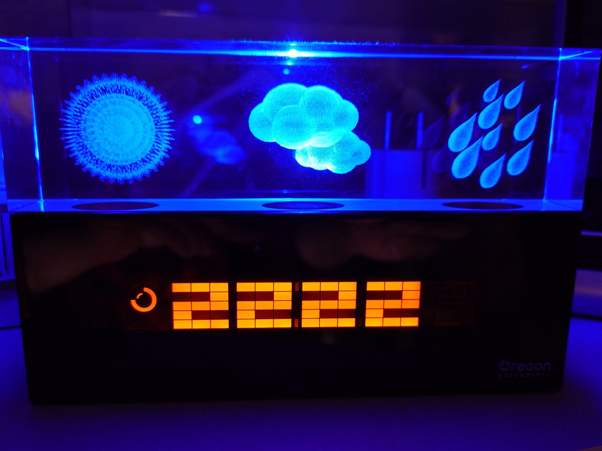 Мелкая заорала: — Папа, смотри скорее — "Лебединое озеро".
Прибегаю. Облом. Но, может, это был знак!?