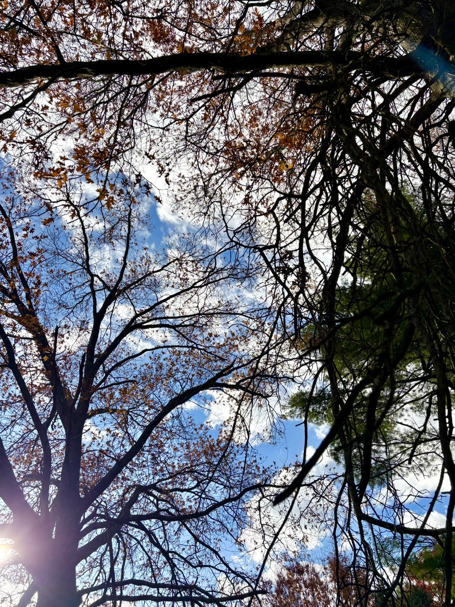 Burgeryearner's tweet image. 