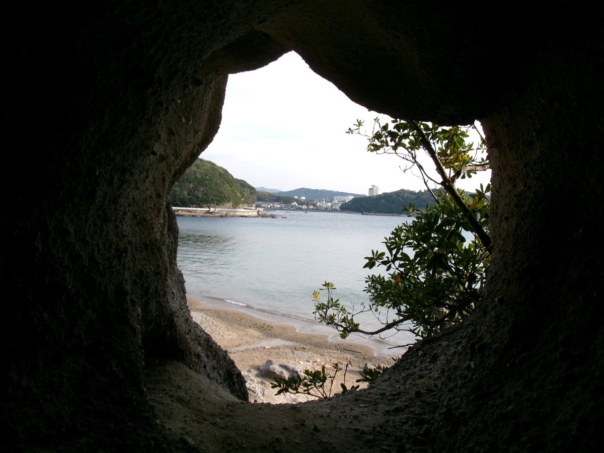 bb___30p's tweet image. 最近買ったKodakFZ55がとってもとってもたのしい
「カメラまたやりたいな」の気持ちを底上げしてくれたのこの子のおかげなところもある
今年これ持ってお出かけしていっぱい写真撮りたいな〜📷