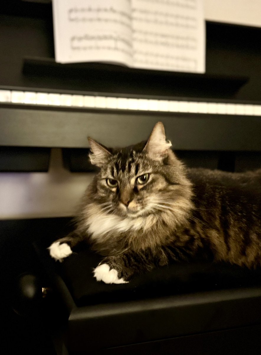 Isabelle Chataignier tweet media