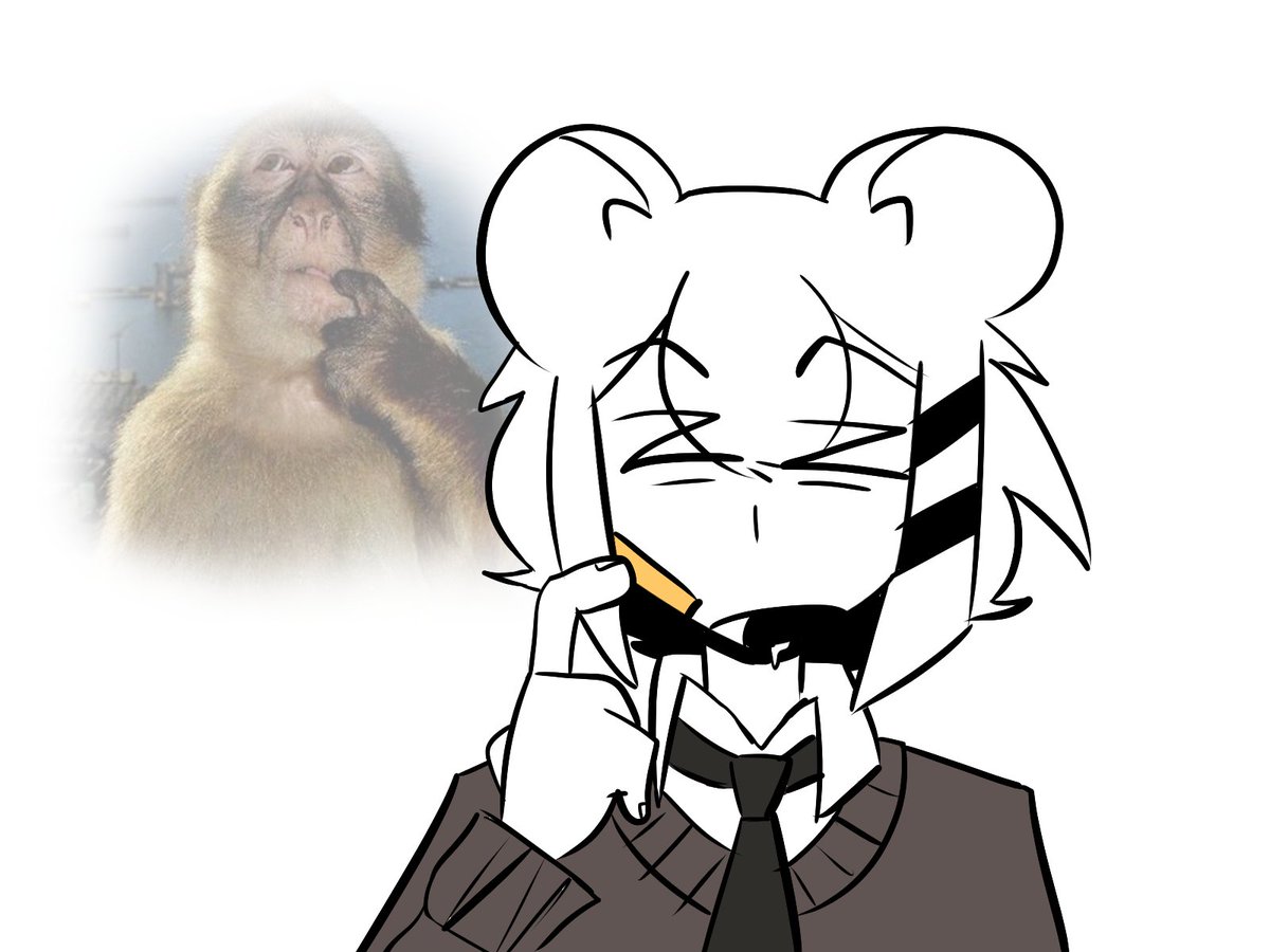 Ampher 𝕏 tweet media