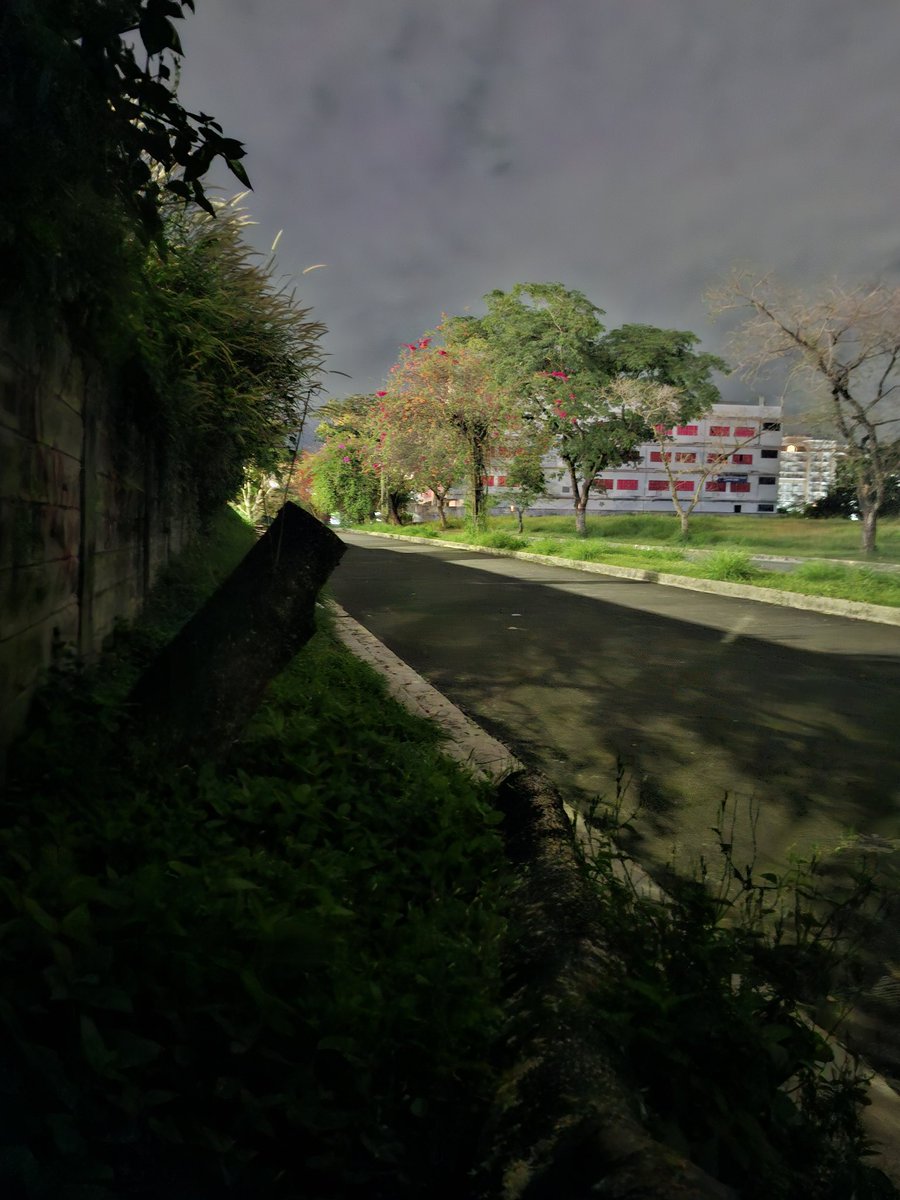 NamamasaFukiko tweet media