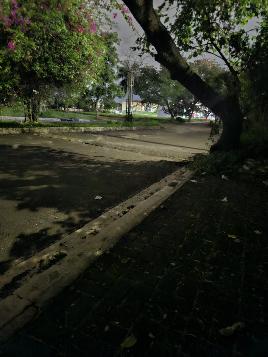 NamamasaFukiko tweet media