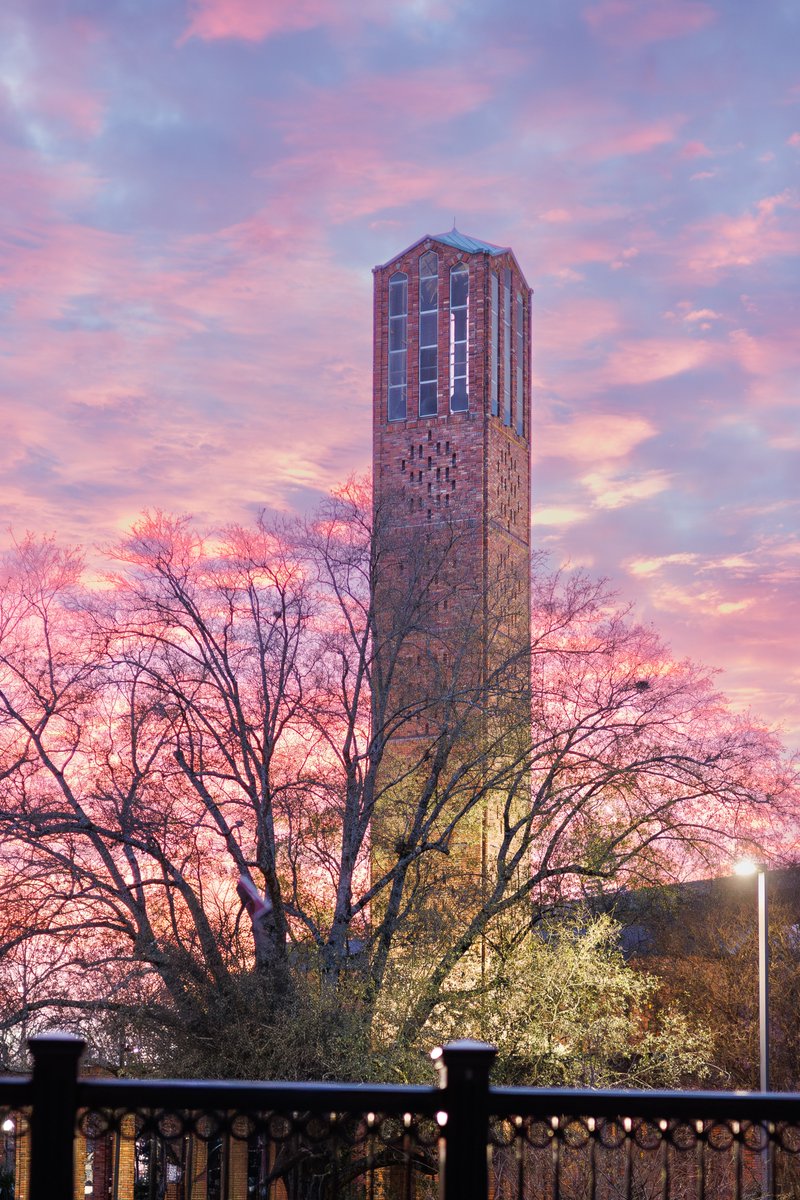 caroline1968's tweet photo. Beautiful sunset Sunday evening in God's country ... @msstate #HailState https://t.co/2GVz3F6gIV