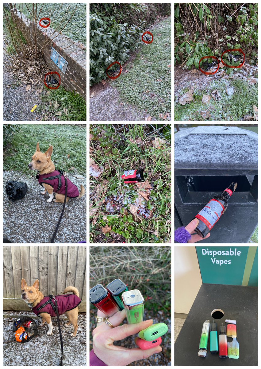 sabrown134's tweet image. 6th January - sadly found 7 🐶💩 bags on our morning #sniffari @pawsonplastic 🐾 (6 within a few feet of each other 🙁) plus a glass bottle #PainInTheGlass also filled a 2nd dog bag with more litter including a few empty cans. Then took the #Vapes found yesterday to ♻️ in ⬇️