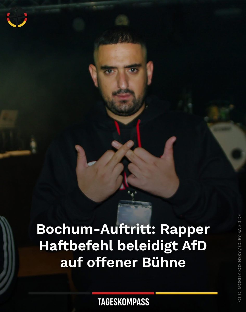 Ja, kriminelle, drogensüchtige Ausländer mögen die AfD nicht. Beste Werbung. Sollte man als Plakat aufhängen.