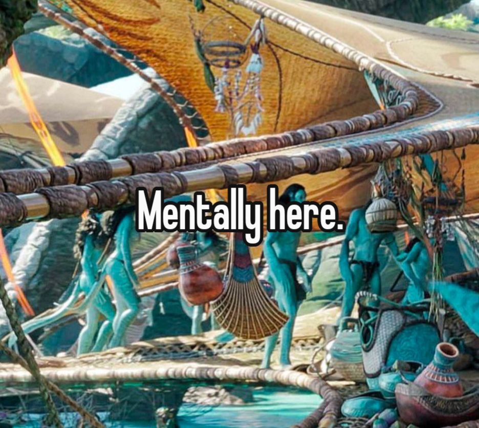 chia ✶𓏲꩜ tweet media