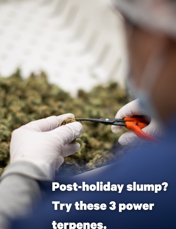 The Apothecarium tweet media