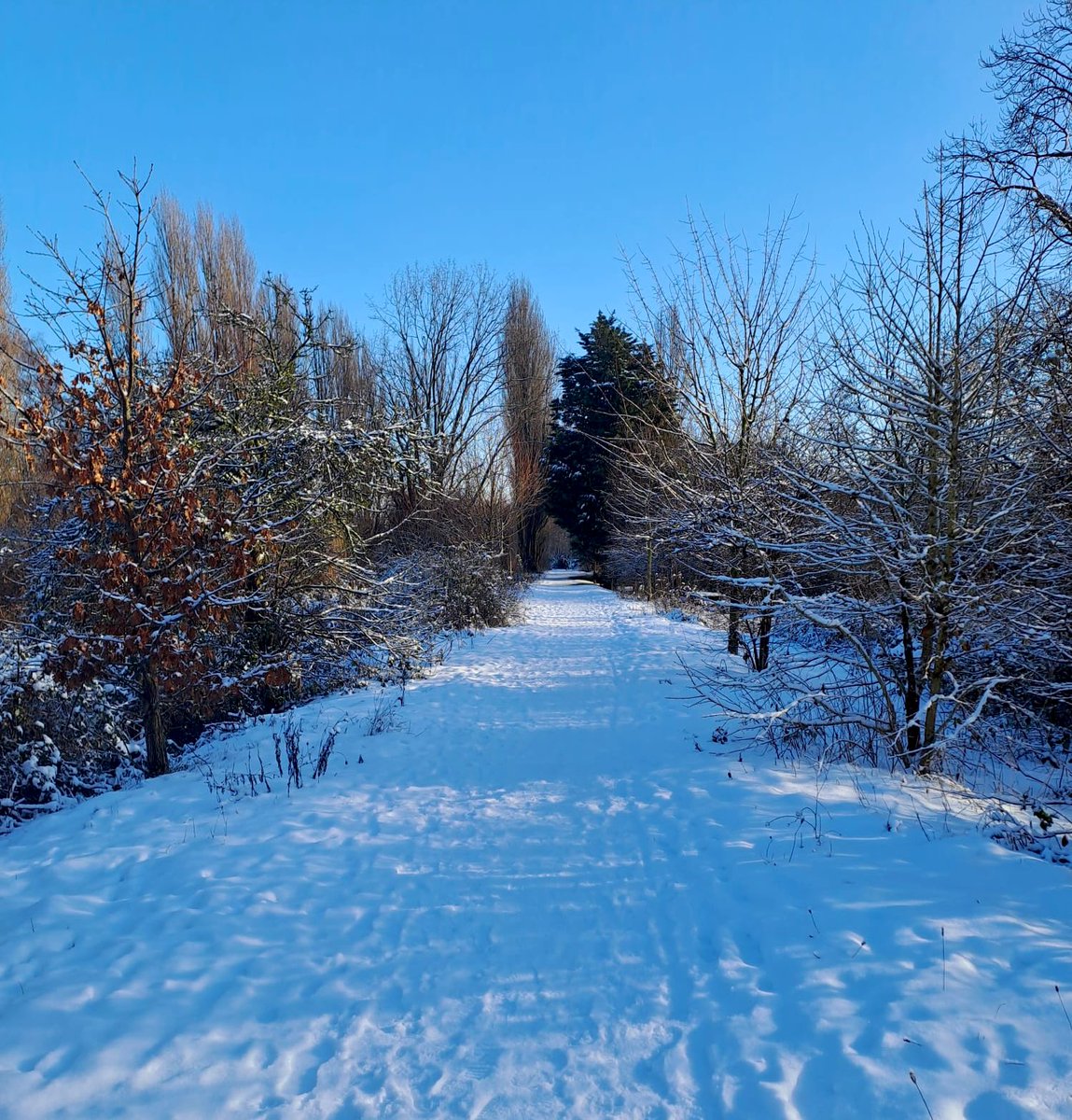 You'll Never Walk Alone tweet media