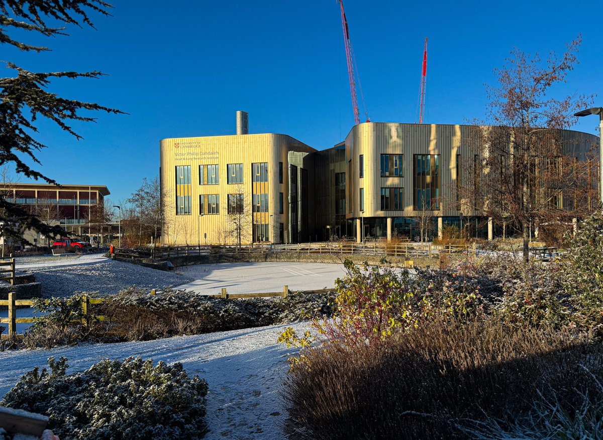 Luke Flower tweet media