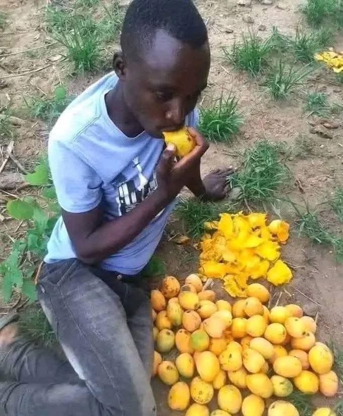 Nedu_🔥 tweet media