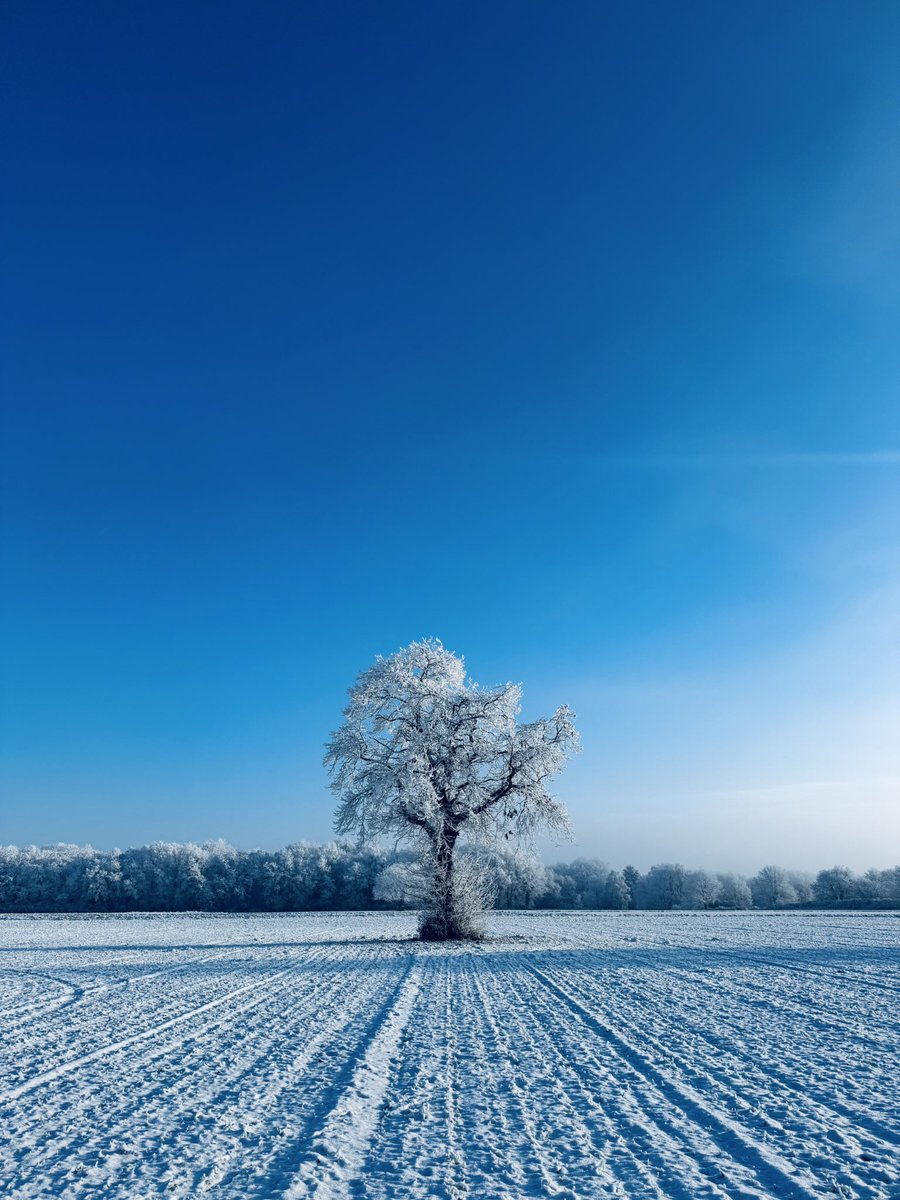 Hakeo🌊 tweet media