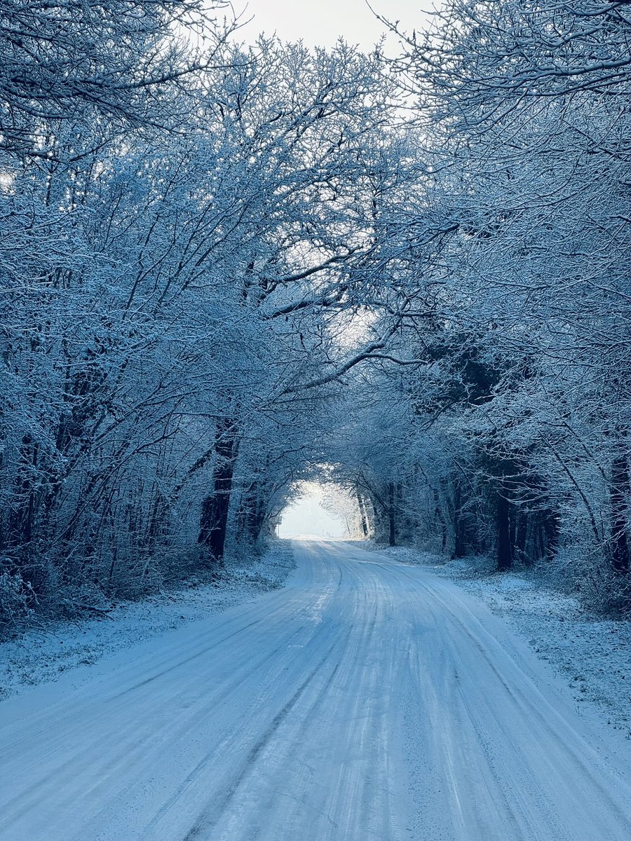 Hakeo🌊 tweet media