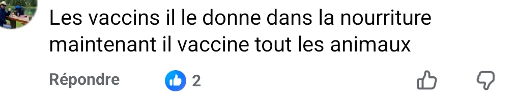 La palme du commentaire antivax de l'année est décernée à ....