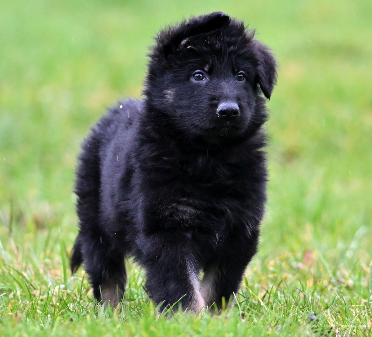 Lenneke Manschot tweet media