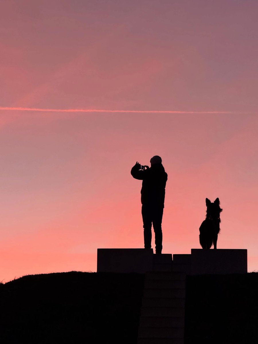 Lenneke Manschot tweet media