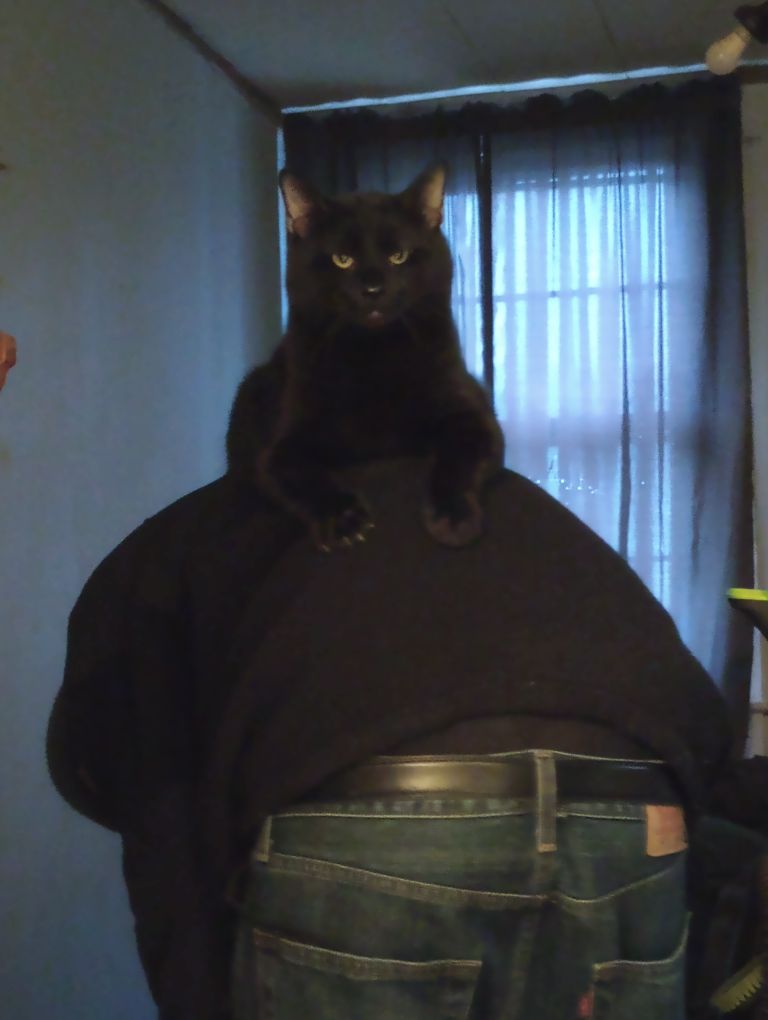 Dr. Greenthumb tweet media