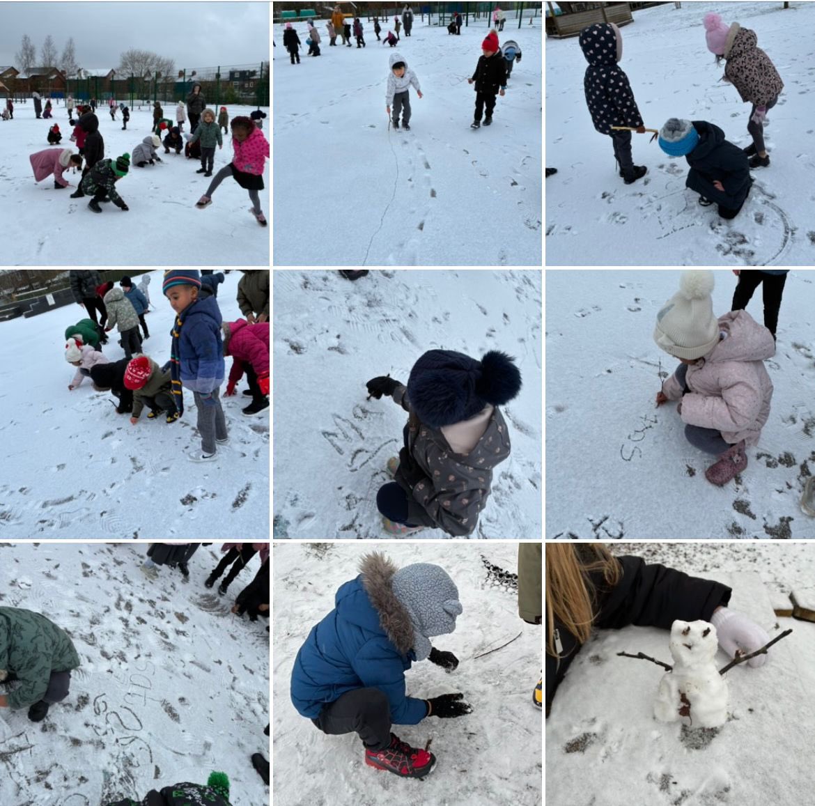 The Divine Mercy Primary School tweet media