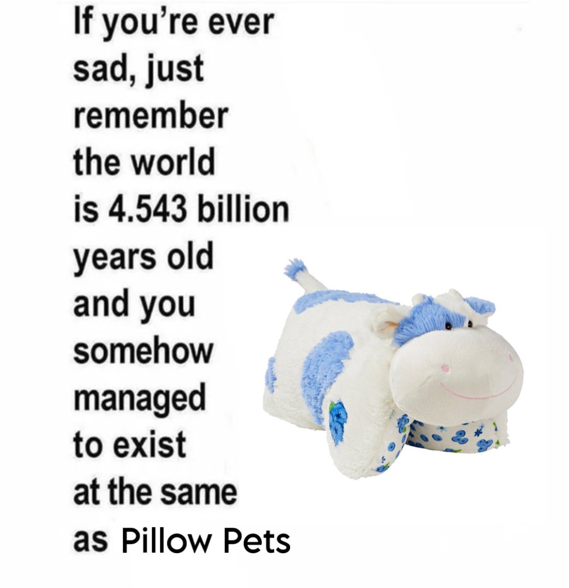 Pillow Pets tweet media
