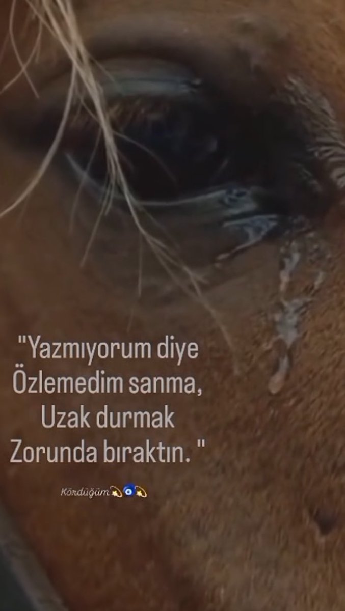 ü _y UMIT,inDUNYASI mon coeur te cherche (@u_y295461) on Twitter photo 