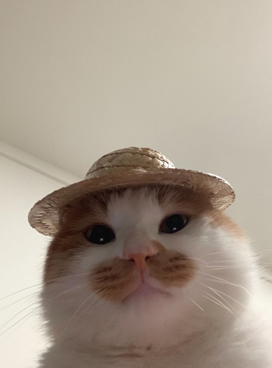 saissize's tweet image. Si tingués un restaurant es diria:
La Fonda el gat