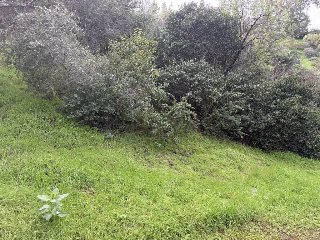 Hear in LA tweet media