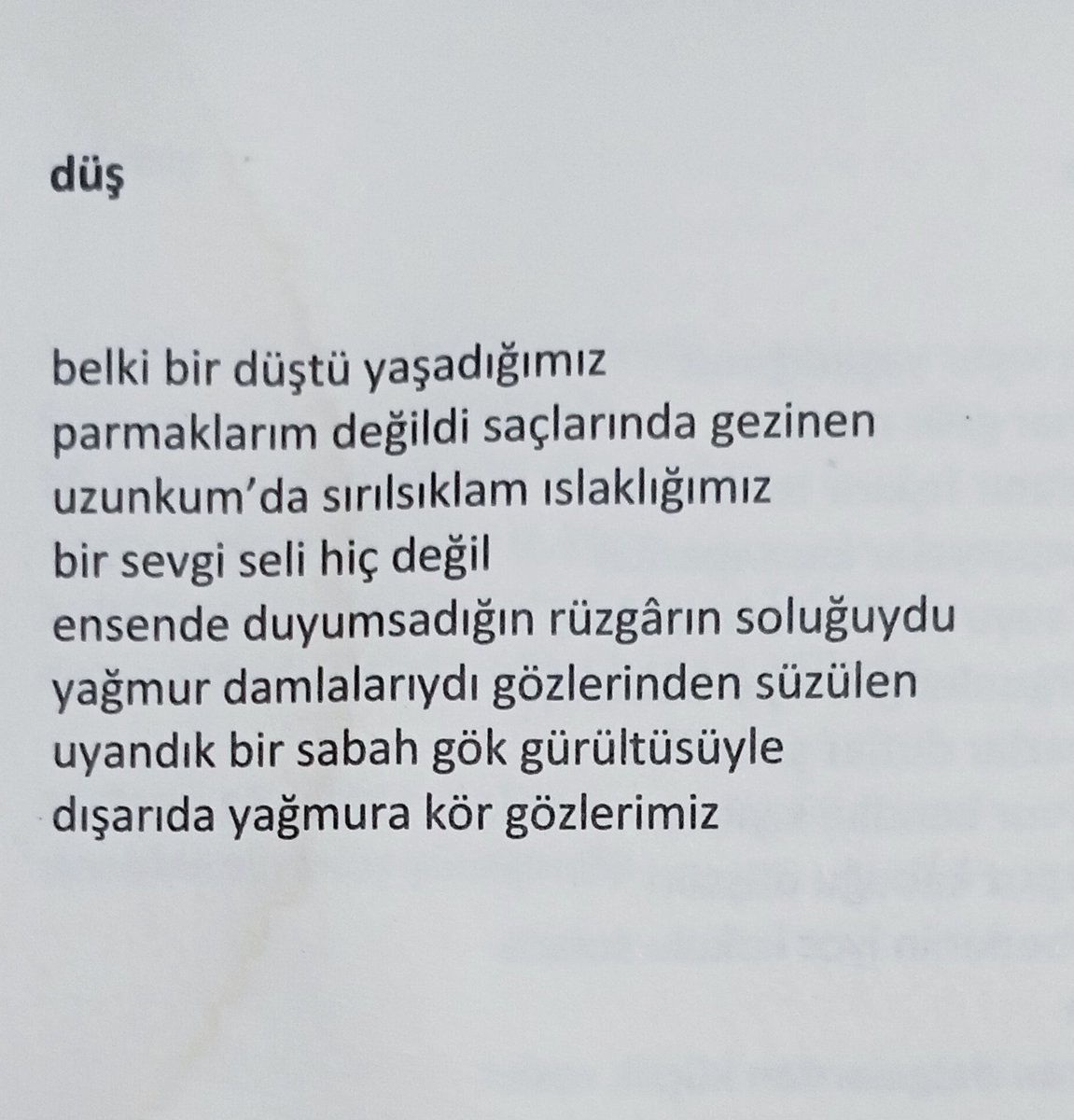 Belki, bir gece yine gelirsin düşlerime...