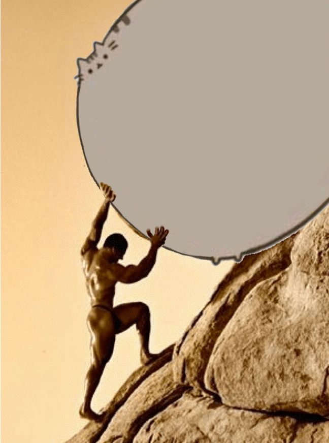 abril🦇𖦹₊ tweet media