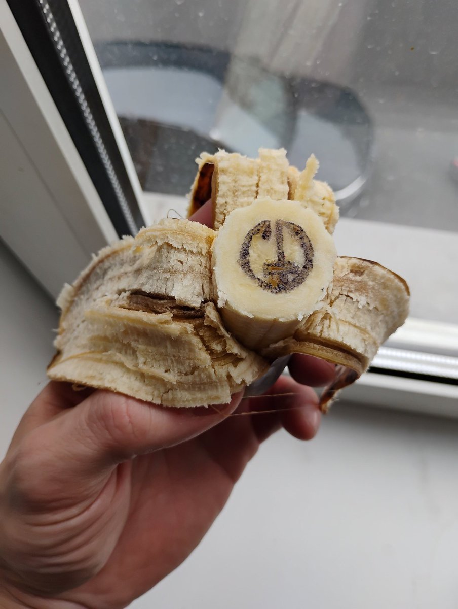 GLancereau's tweet image. Abusé