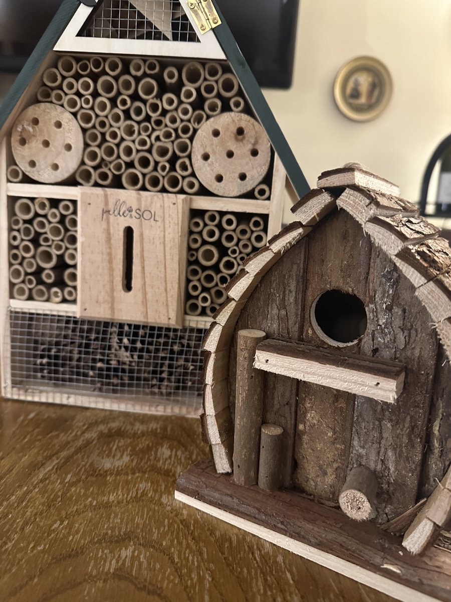 Debra Leigh-Taylor 🧡🇬🇧 tweet media