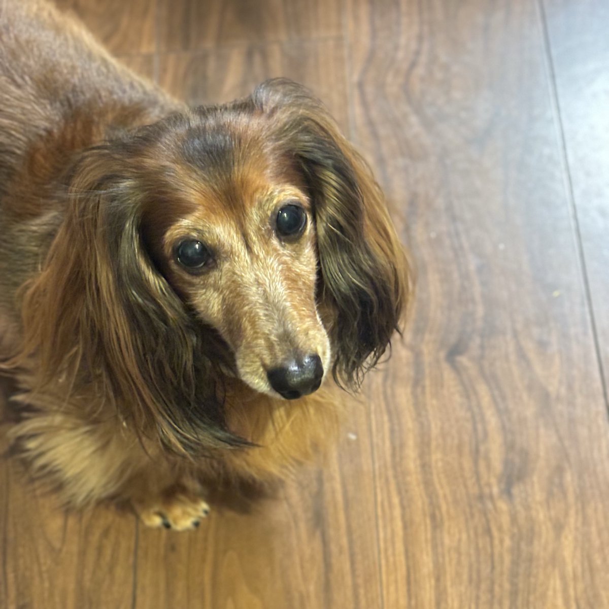 蘭丸1号機 (@shinsakan) / Posts / X