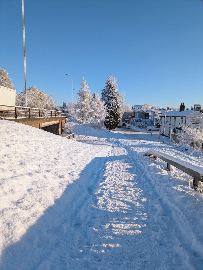 JolinaWolf's tweet photo. It snowed and I still attempted to drive to work. Big mistake because the route to work includes hills and because people kept starting and stopping I then got stuck 😂😭

It was very pretty though. I do wish I'd ordered new SD cards cause my current ones are full 😭 https://t.co/SFNI6umi22