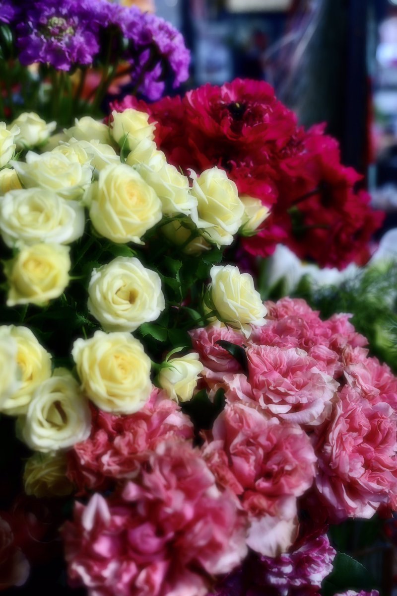 Flower Photo Club Community on X - 4.5K Members