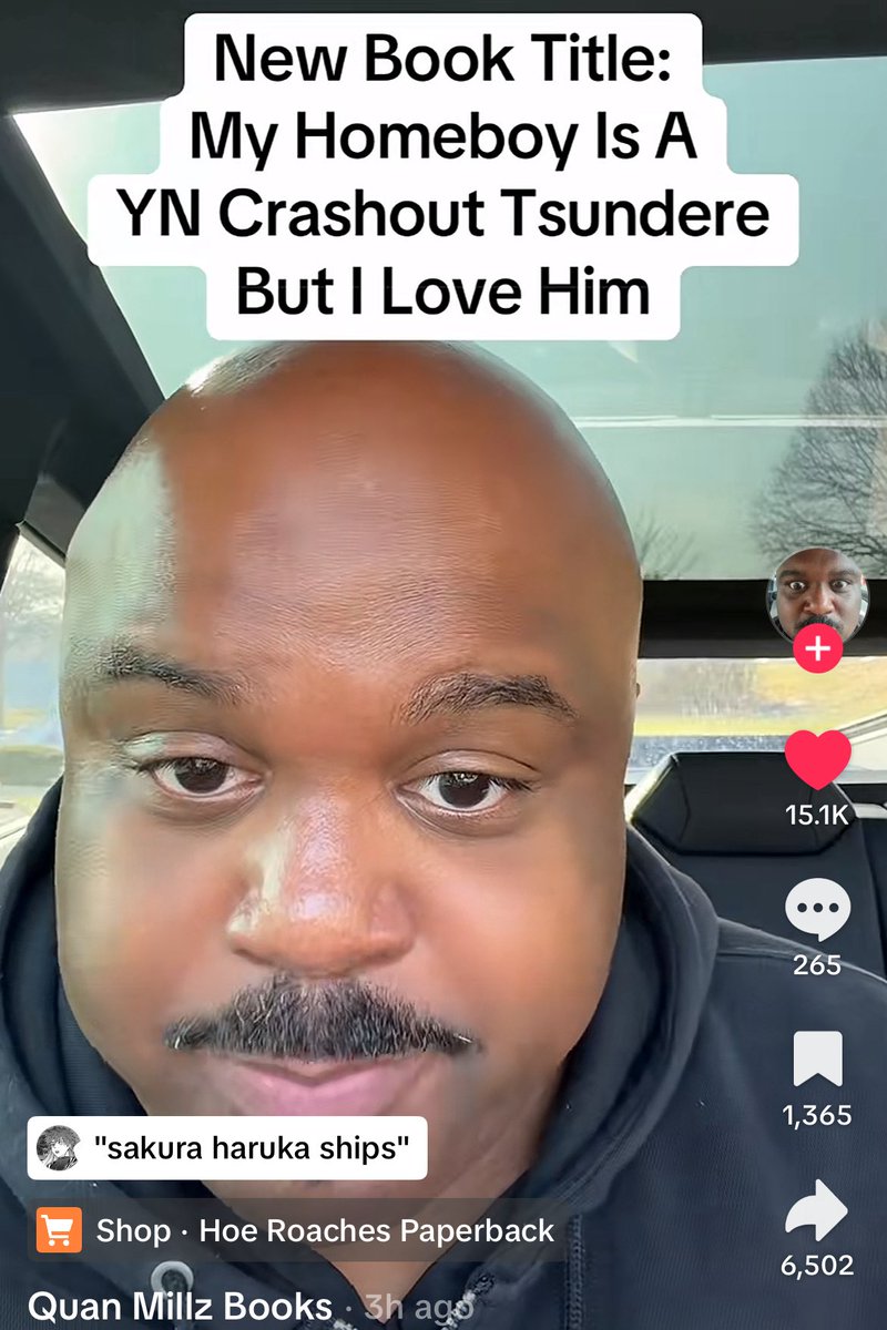 mr millz is about to rewrite wind breaker