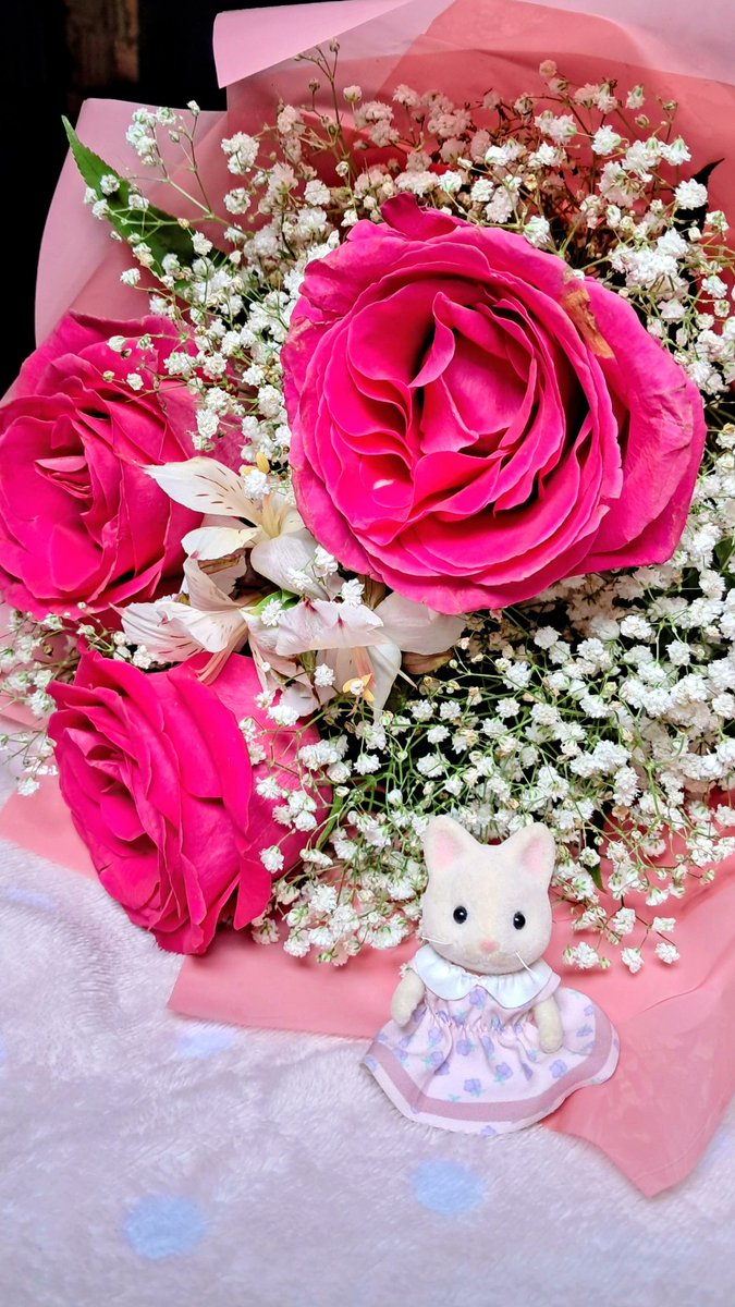 docess's tweet image. ｡˚ 𖦹𖧷